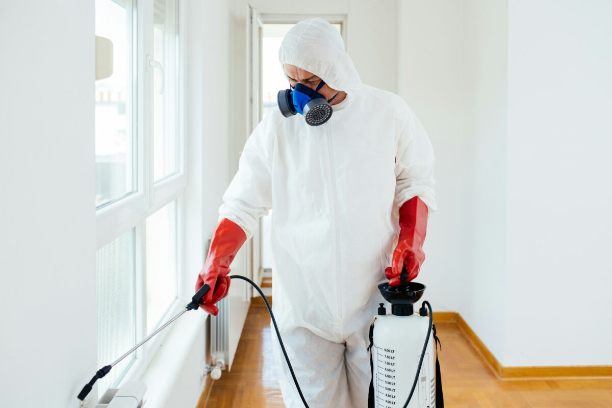 Best Practices for Asbestos Removal for James Island Homes