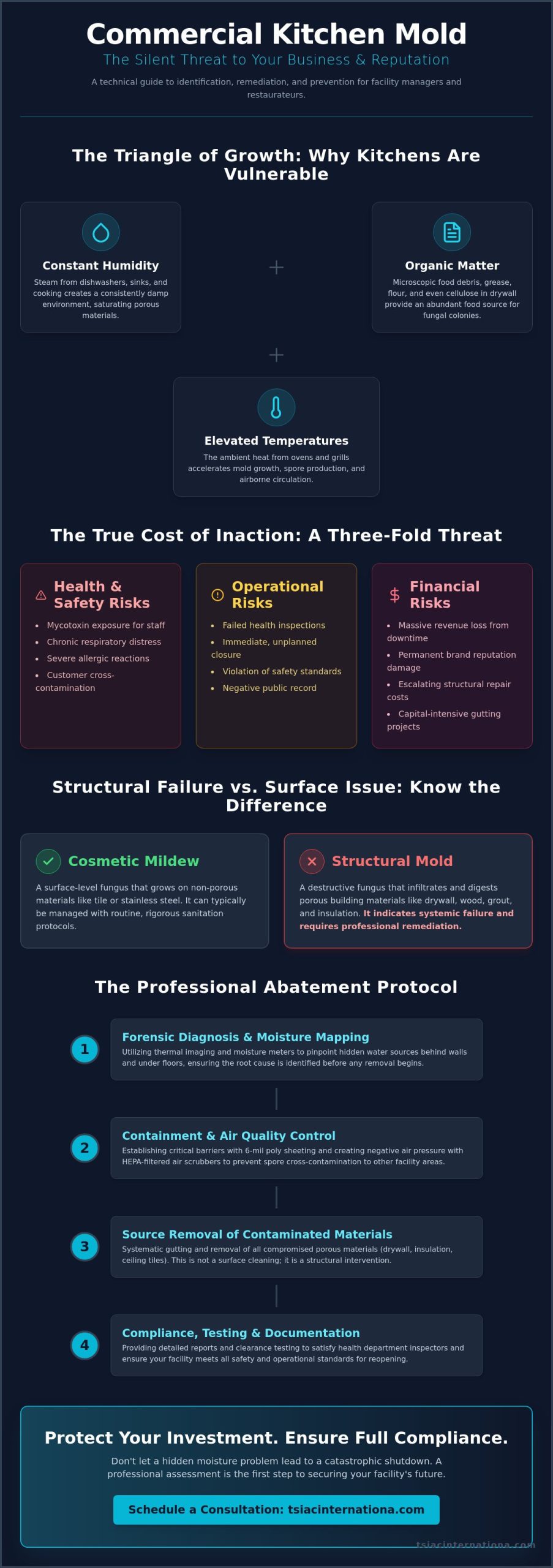 Commercial Kitchen Mold Remediation: Professional Abatement & Structural Solutions